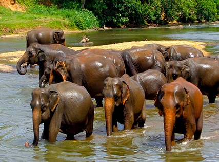 Exclusive Deal with Special Discount- The Boma, Nairobi- Breakfast - 5 Star Image