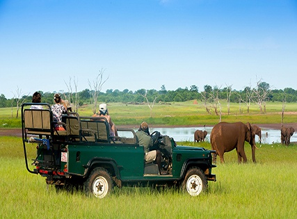 Exclusive Deal with Special Discount- Cinnamon Wild Yala, Yala National Parksafari- Breakfast â€“ 5 Star Image