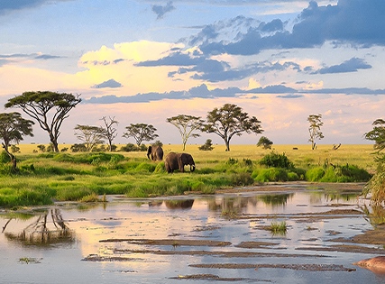 Exclusive Deal with Special Discount- The Residence Zanzibar, Tanzania- Breakfast - 5 Star Image