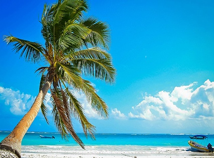 Exclusive Deal with Special Discount- Elements Tulum Boutique Hotel, Tulum- Breakfast â€“ 4 Star Image