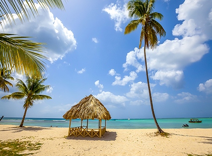 Exclusive Deal with Special Discount- Villa Being - Tobago Luxury B&B, Tobago- Breakfast â€“ 4 Star Image