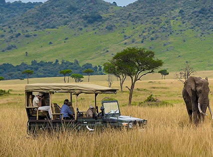 Best Deal- Silonque Bush Estate & Spa with Breakfast â€“ 4 star