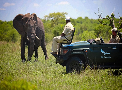 Exclusive Deal with Special Discount- Crocodile Bridge Safari Lodge, Kruger National Park- Breakfast â€“ 3 Star Image