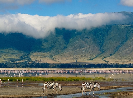 Best Deal- Hyatt Regency Dar-Es-Salam, The Kilimanjaro with Breakfast â€“ 5 star Image