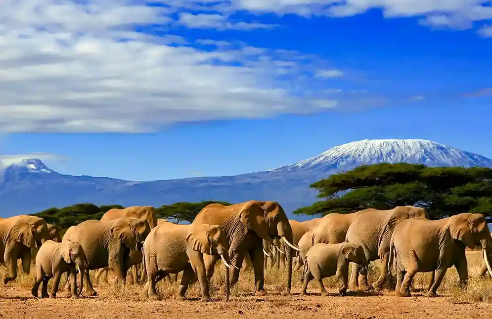 Kenya