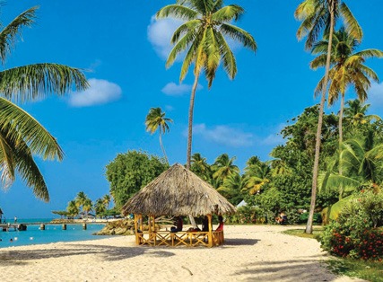 Exclusive Deal with Special Discount- Blue Waters Inn, Tobago- Breakfast â€“ 4 Star
