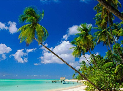 Exclusive Deal with Special Discount- Tropikist Beach hotel and Resort, Tobago- Breakfast â€“ 3 Star Image